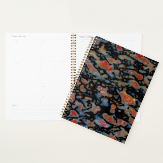 Kleurrijk versteend dinosaurusbot planner (Display)
