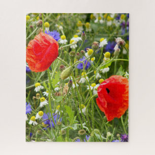 kleurrijk, wit, rood, klaproos, weide, natuur, legpuzzel
