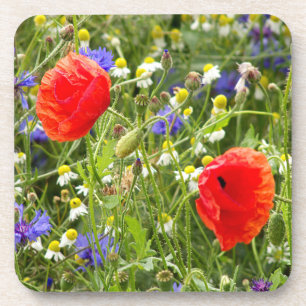 kleurrijk, wit, rood, papaver, weide, natuur, bier onderzetter