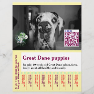 Kleurrijke af te scheuren hond flyer