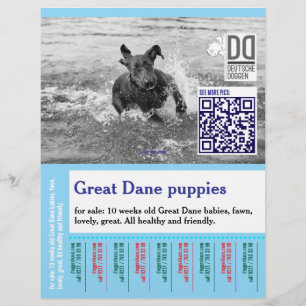 Kleurrijke af te scheuren hond flyer
