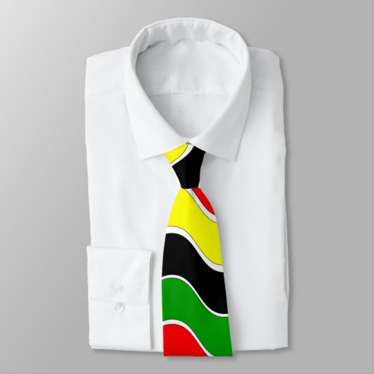 Kleurrijke Afro-Amerikaanse Stropdas (Gebonden)