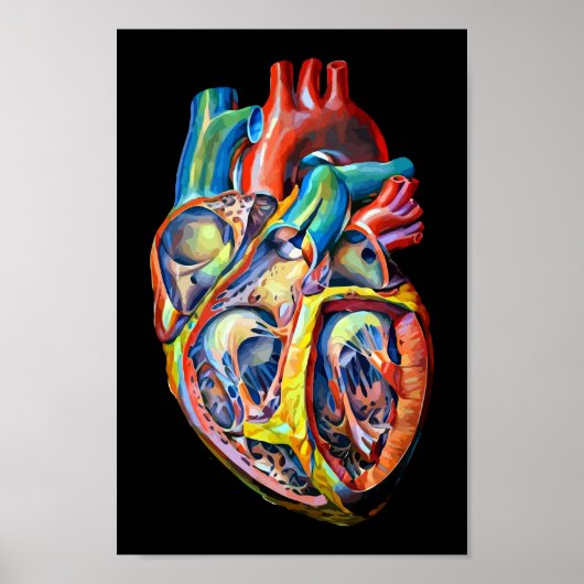 kleurrijke anatomie van het menselijk hart abstrac poster (Voorkant)