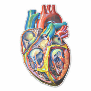 kleurrijke anatomie van het menselijk hart abstrac sticker