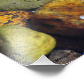 Kleurrijke beach Rocks and Shells Foto Afdruk (Hoek)