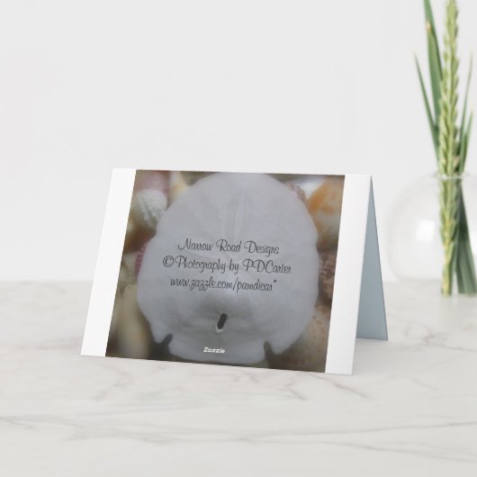 Kleurrijke Beach Shells Blank Note Kaart (Achterkant)