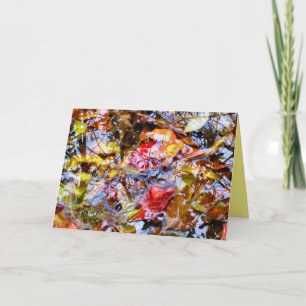 Kleurrijke bladeren vormen de boom reflecteert in kaart