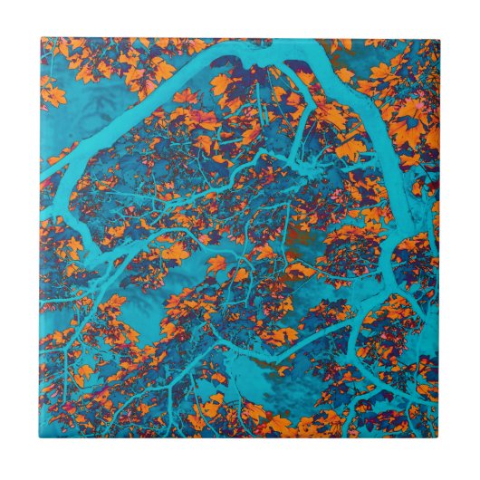 Kleurrijke blauwe en oranje bomen tegeltje (Voorkant)