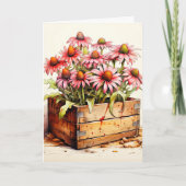 Kleurrijke bloeiende asterbloemen kaart (Voorkant)