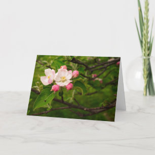 [Kleurrijke bloemen] Appelbloesem - elke gelegenhe Kaart