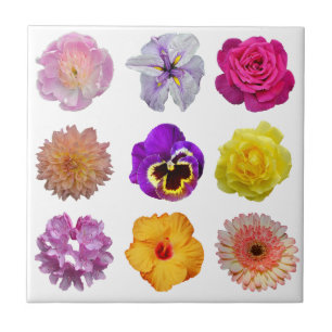 Kleurrijke bloemen tegeltje