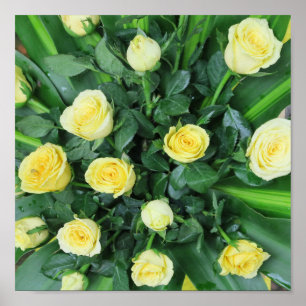 kleurrijke+ bloemen, tuin+ gnoom, poster