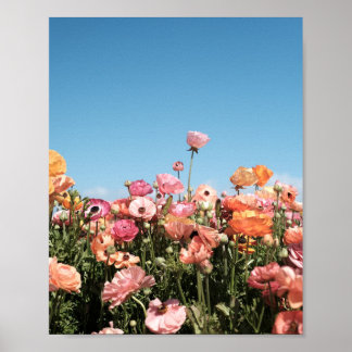 Kleurrijke bloemenposterprint poster