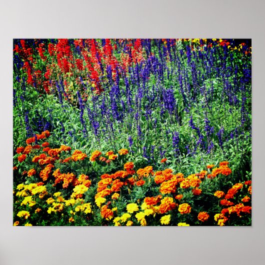 Kleurrijke bloemtuin in de zomer poster (Voorkant)