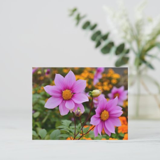 Kleurrijke Blooming Dahlia Bloemen Briefkaart (Staand voorkant)