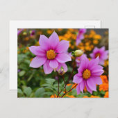 Kleurrijke Blooming Dahlia Bloemen Briefkaart (Voorkant / Achterkant)