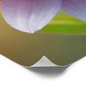 Kleurrijke Bokeh Flower Poster (Hoek)