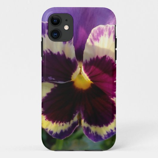 kleurrijke bron Pansy Case-Mate iPhone Case (Achterkant)