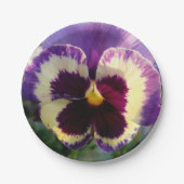 kleurrijke bron Pansy Papieren Bordje (Voorkant)