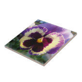 kleurrijke bron Pansy Tegeltje (Zijkant)