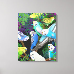 Kleurrijke Budgerigar Parketten Verpakt Canvas