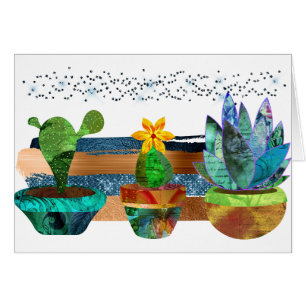 Kleurrijke Cactus en vetplanten