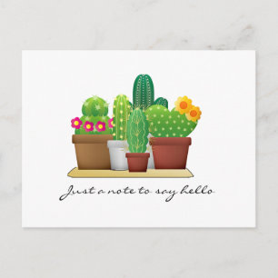 Kleurrijke Cactus Tuin / Hallo Ansichtkaart Briefkaart