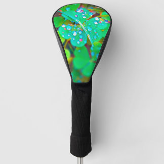 Kleurrijke Clover Orbs Golf Driver Club Hoesje Golfheadcover