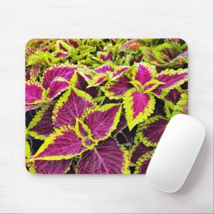 Kleurrijke Coleus Bladeren Muismat