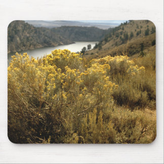 Kleurrijke Colorado Canyon Brush Mousepad Muismat