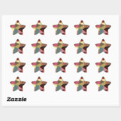 Kleurrijke Crazy Quilt Patchwork Patroon Ster Sticker (Vel)