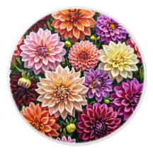 Kleurrijke Dahlia Bloemen