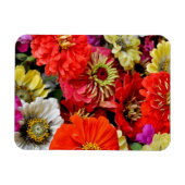 Kleurrijke dahlia bloemen magneet (Horizontaal)
