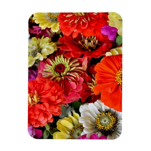 Kleurrijke dahlia bloemen magneet (Verticaal)