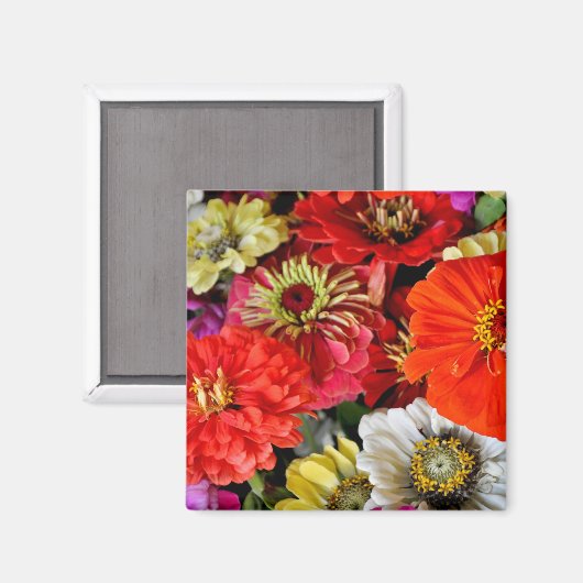 Kleurrijke dahlia bloemen magneet (Voorkant / Achterkant)