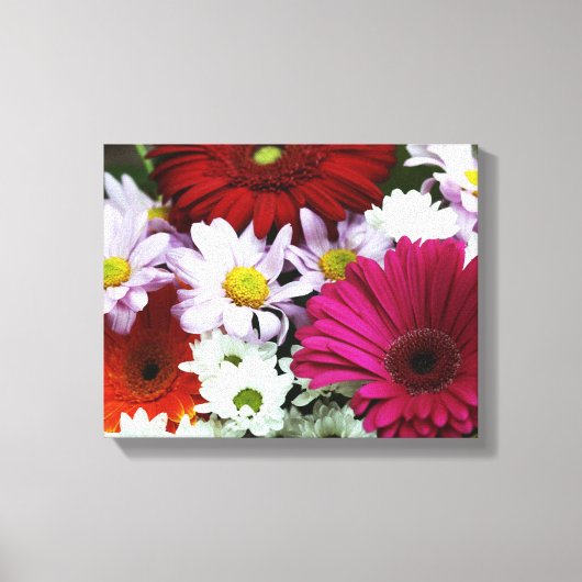 Kleurrijke Daisies Canvas Print (Voorkant)