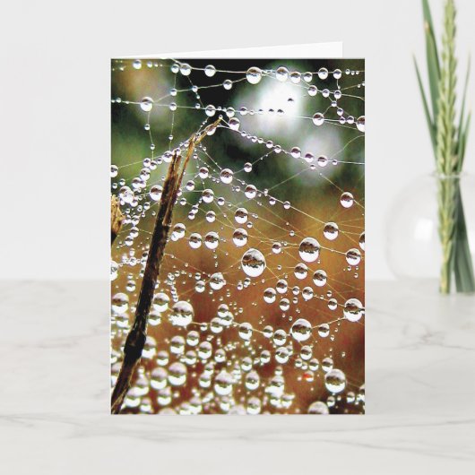 Kleurrijke dauwval cascade naar beneden kaart (Voorkant)