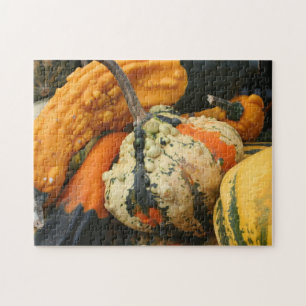 Kleurrijke decoratieve pompoenen Close-up herfst Legpuzzel