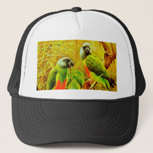 Kleurrijke delen trucker pet