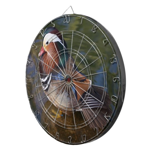 Kleurrijke eend in het water dartbord (Voorkant Rechts)