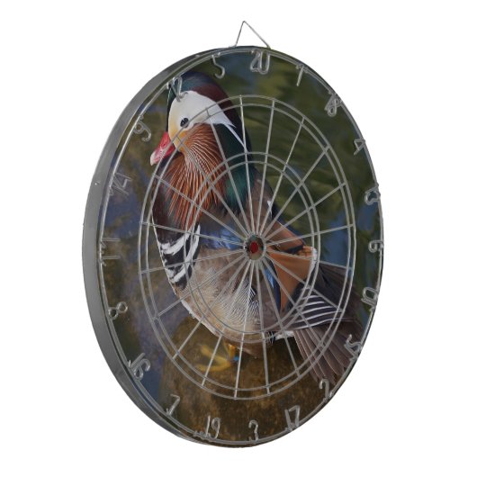 Kleurrijke eend in het water dartbord (Voorkant Links)