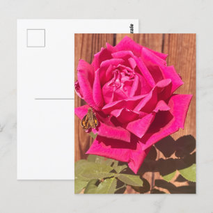 Kleurrijke Elegante Roze Bloemen Roze Bloem Briefkaart