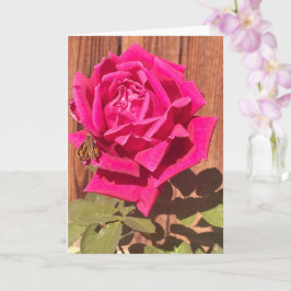 Kleurrijke Elegante Roze Bloemen Roze Bloem Kaart