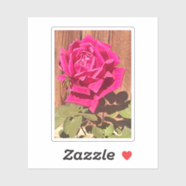 Kleurrijke Elegante Roze Bloemen Roze Bloem Sticker