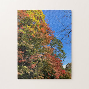 Kleurrijke Esdoorns Legpuzzel