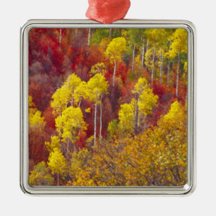 Kleurrijke espes in Logan Canyon Utah in de 2 Metalen Ornament
