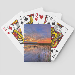 Kleurrijke Everglades, Florida, Pokerkaarten