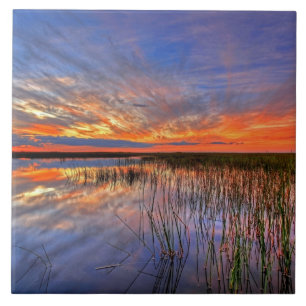 Kleurrijke Everglades, Florida, Tegeltje