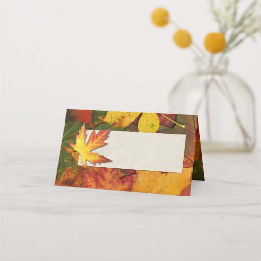 Kleurrijke Fall Leaves Wedding Place Card (Voorkant)