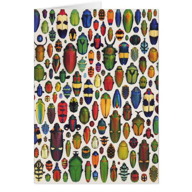 Kleurrijke  geïllustreerde hoeken (Voorkant)